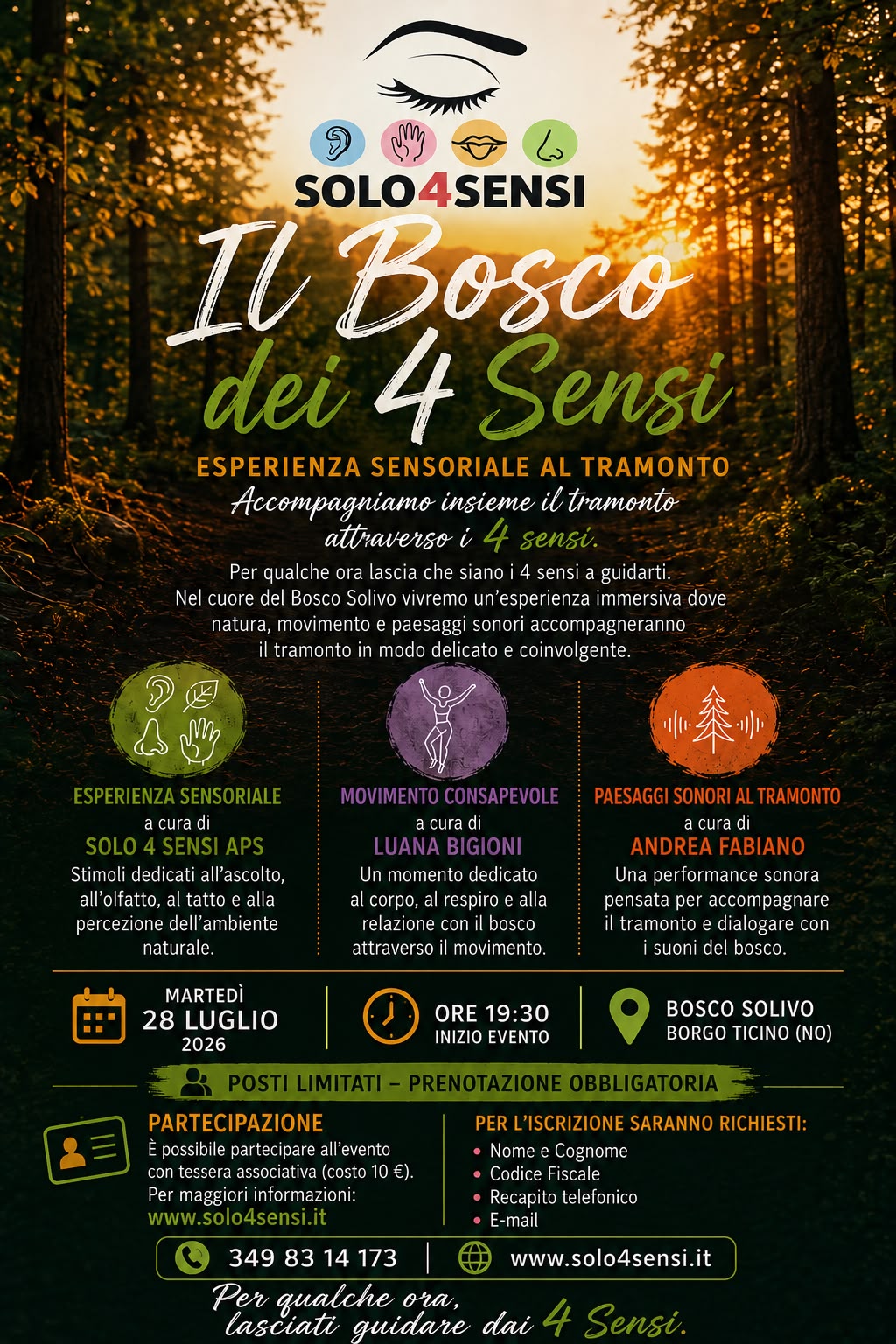 Il Bosco dei 4 Sensi: Un’Esperienza Sensoriale al Tramonto